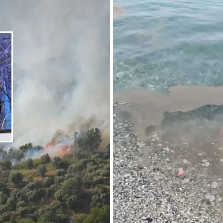 Montagne in fiamme e mare sporco, Mirabelli: «Se continuiamo così in Calabria non verrà più nessuno»