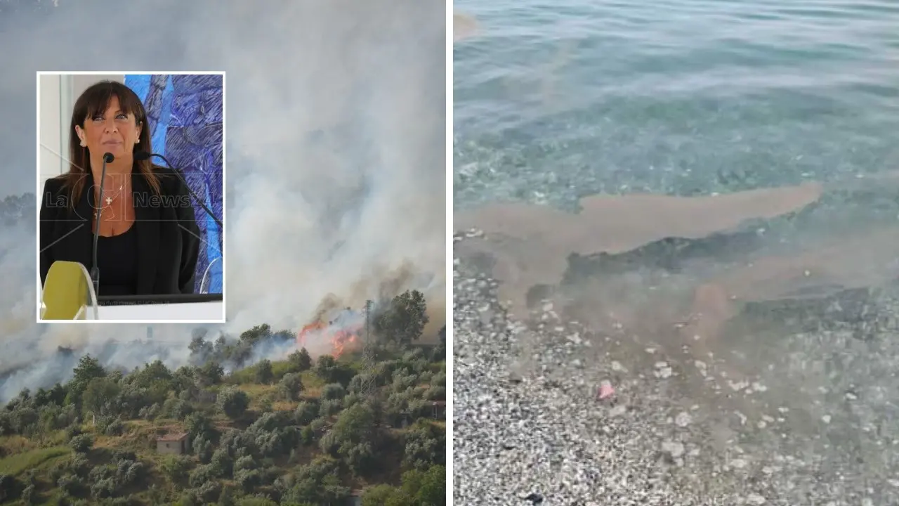 Montagne in fiamme e mare sporco, Mirabelli: «Se continuiamo così in Calabria non verrà più nessuno»