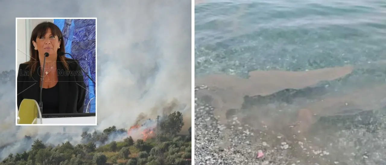 Montagne in fiamme e mare sporco, Mirabelli: «Se continuiamo così in Calabria non verrà più nessuno»