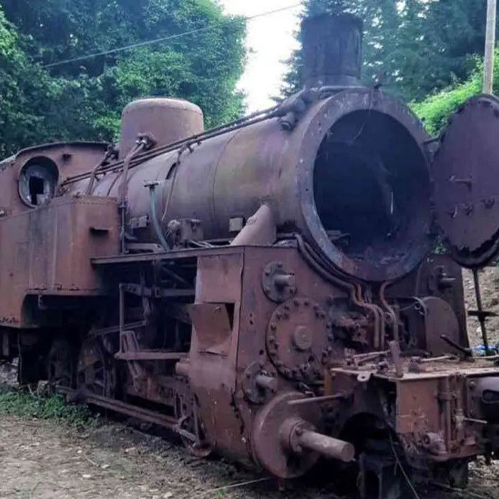 Treni storici della Calabria, l’Associazione Ferrovie: «Scomparsa una storica locomotiva, urgente un incontro con Occhiuto e Staine»