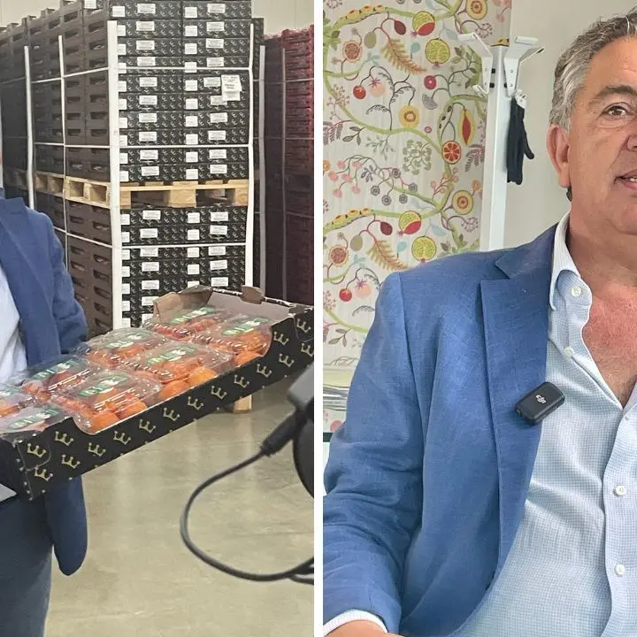 Il successo, l’incendio e poi la ripartenza: storia di Natalino Gallo e della sua azienda di clementine di Calabria oggi leader in Italia