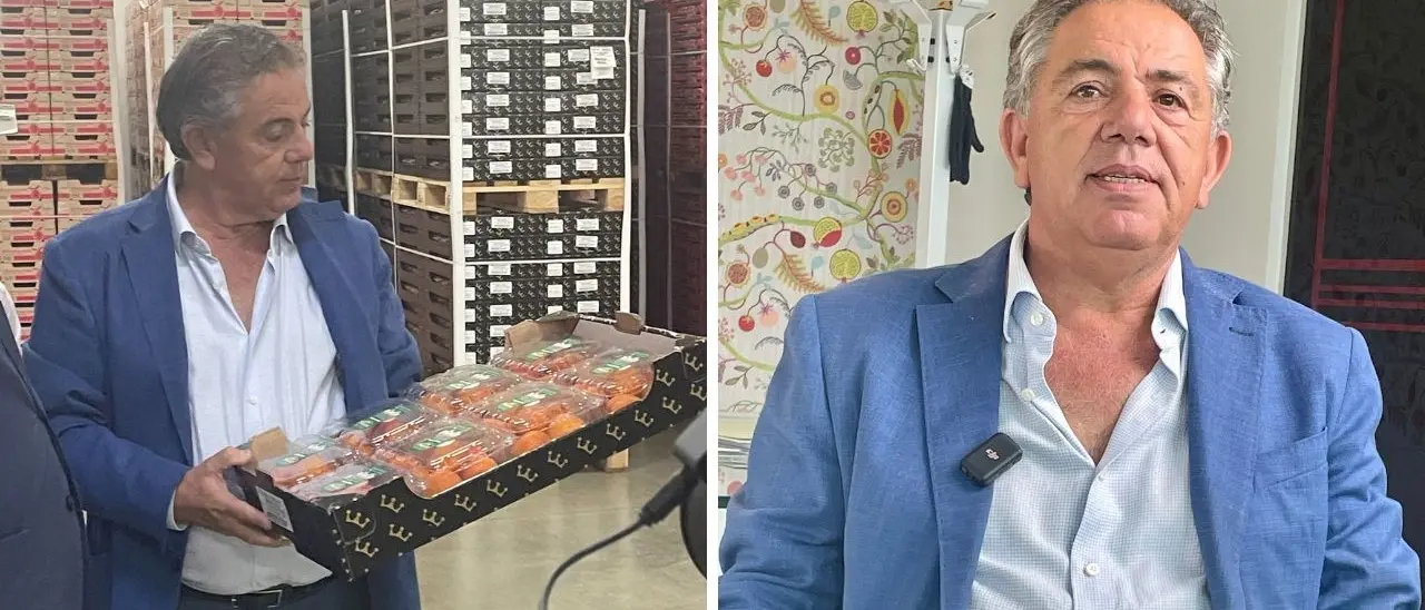 Il successo, l’incendio e poi la ripartenza: storia di Natalino Gallo e della sua azienda di clementine di Calabria oggi leader in Italia