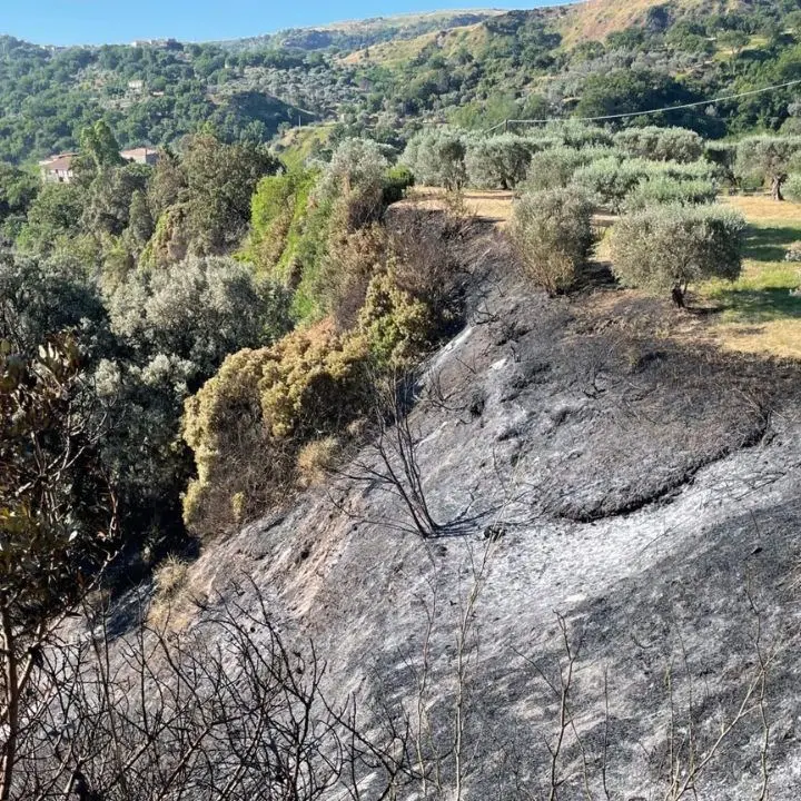 Incendio minaccia il Musaba: «Grazie a chi ha lavorato senza sosta per mettere in sicurezza il museo»