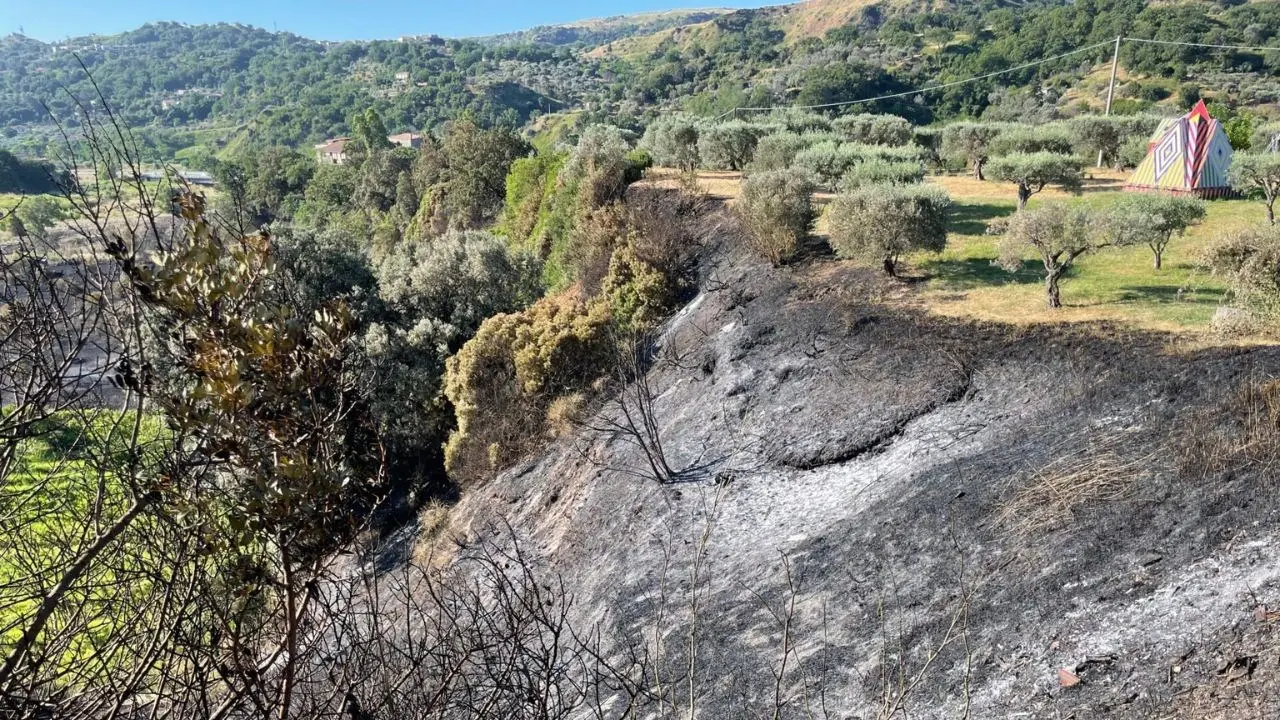 Incendio minaccia il Musaba: «Grazie a chi ha lavorato senza sosta per mettere in sicurezza il museo»