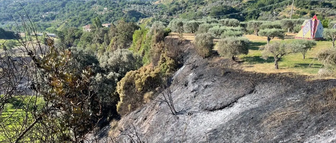 Incendio minaccia il Musaba: «Grazie a chi ha lavorato senza sosta per mettere in sicurezza il museo»