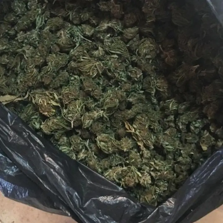 Da Rosarno a Cosenza: ecco come i presunti narcotrafficanti trasportavano la marijuana