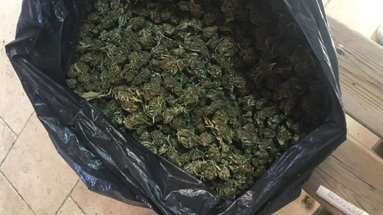 Da Rosarno a Cosenza: ecco come i presunti narcotrafficanti trasportavano la marijuana