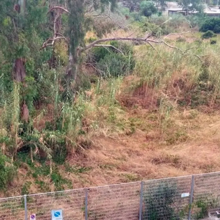 Terreno abbandonato e a rischio incendio, scatta la protesta degli abitanti a Tortora