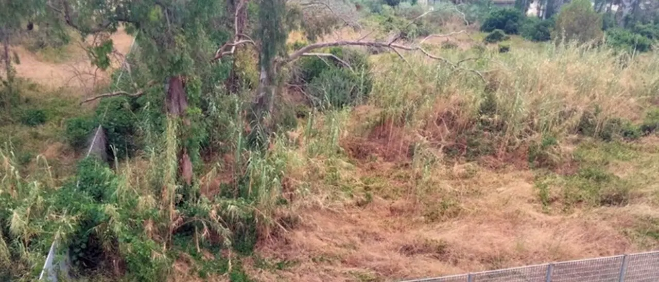 Terreno abbandonato e a rischio incendio, scatta la protesta degli abitanti a Tortora