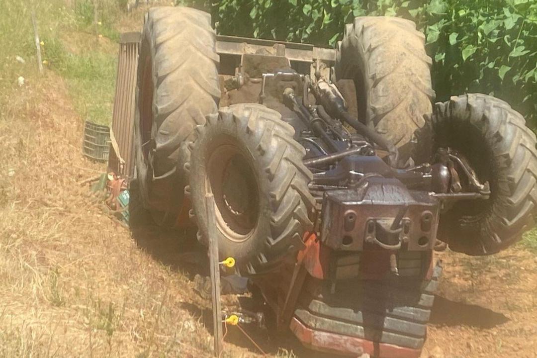 Tragedia nel Catanzarese, si ribalta con il trattore e resta ...