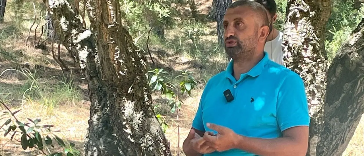 La Sila è un pezzo delle Alpi: «Si è staccato in epoche remote, lo dimostrano le piante che crescono qui»