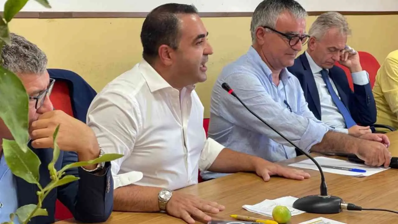 Emergenza bergamotto, incontro pubblico a Condofuri. Cannizzaro: «Presto risposte dal Governo»