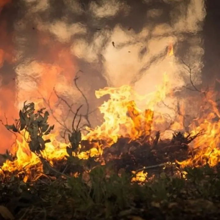 Tragedia nel Reggino, anziano 80enne muore travolto dalle fiamme del suo terreno