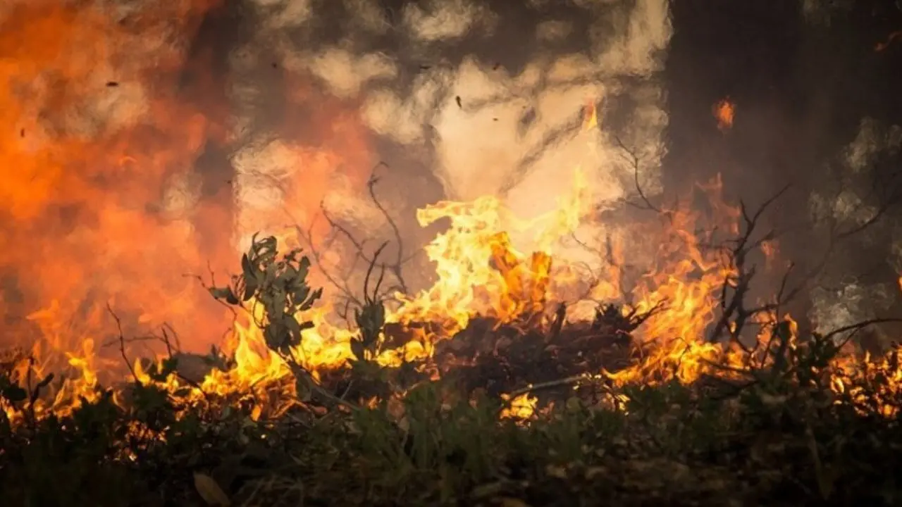 Tragedia nel Reggino, anziano 80enne muore travolto dalle fiamme del suo terreno