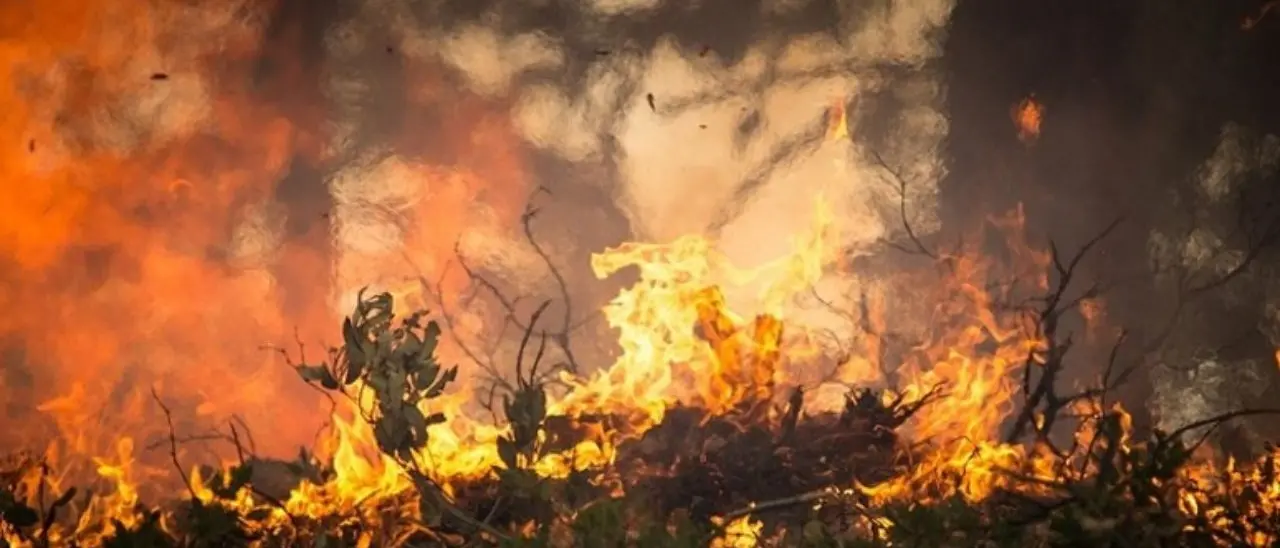 Tragedia nel Reggino, anziano 80enne muore travolto dalle fiamme del suo terreno