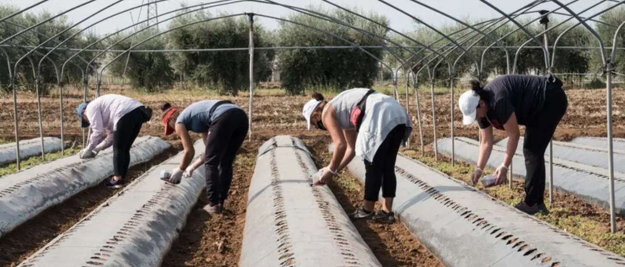 Fugge dalla guerra in Ucraina e si ritrova vittima del caporalato in Calabria: «Dovevamo stare zitte e lavorare»