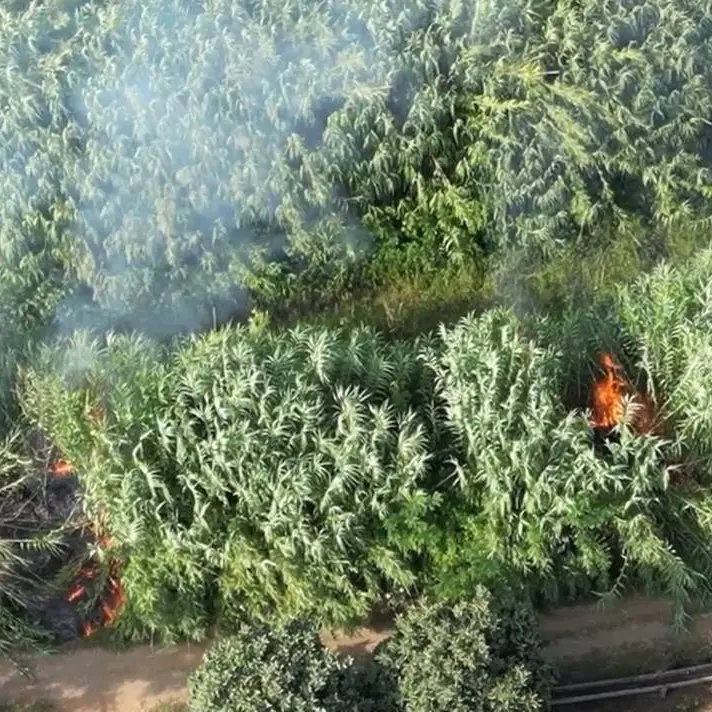 Ritorna in libertà il presunto piromane accusato anche dal presidente Occhiuto