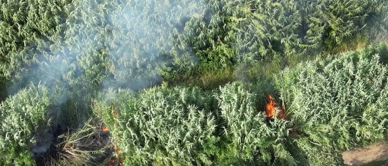 Ritorna in libertà il presunto piromane accusato anche dal presidente Occhiuto