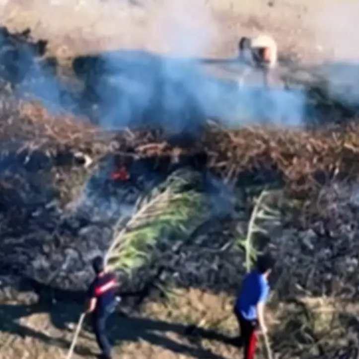 Beccato mentre appicca un incendio, intervengono i carabinieri che spengono anche le fiamme