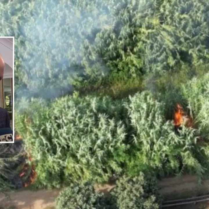 Rilascio presunto piromane di Curinga, Comito (FI): «Notizia sconcertante»