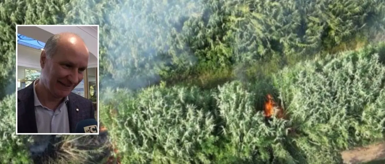 Rilascio presunto piromane di Curinga, Comito (FI): «Notizia sconcertante»