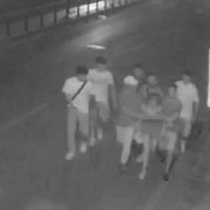 «Eravamo cento cani sopra una gatta, così solo nei porno»: le spaventose parole dei sette ragazzi accusati di aver stuprato una 19enne