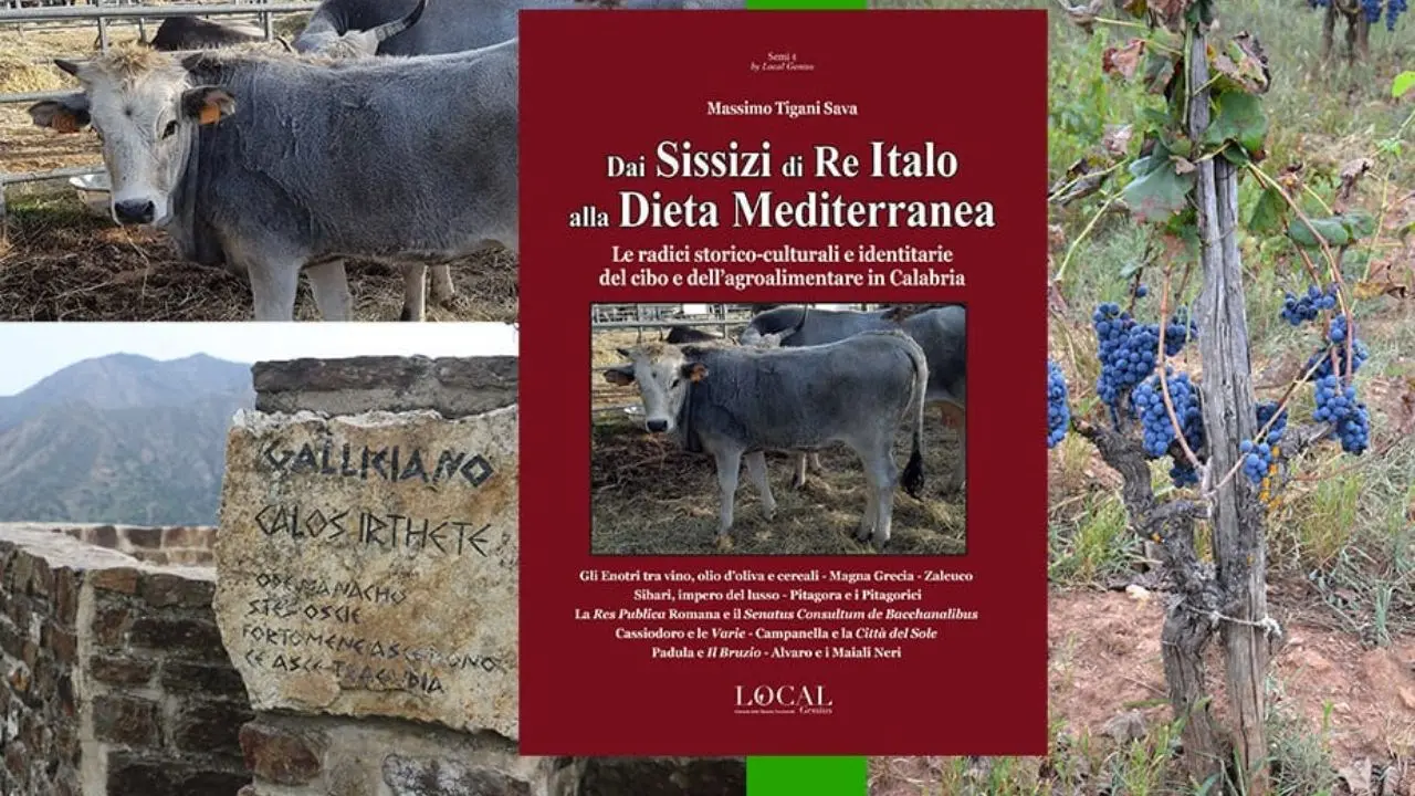 “Dai Sissizi di Re Italo alla Dieta Mediterranea”, un libro sulle radici storiche di agricoltura e cibo di Tigani Sava