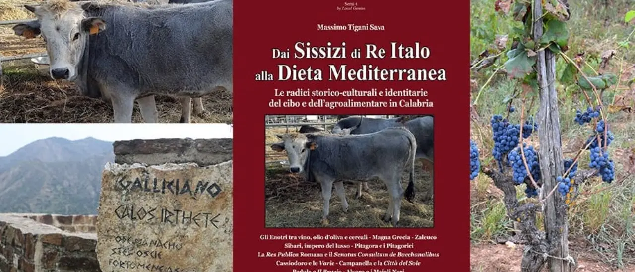 “Dai Sissizi di Re Italo alla Dieta Mediterranea”, un libro sulle radici storiche di agricoltura e cibo di Tigani Sava