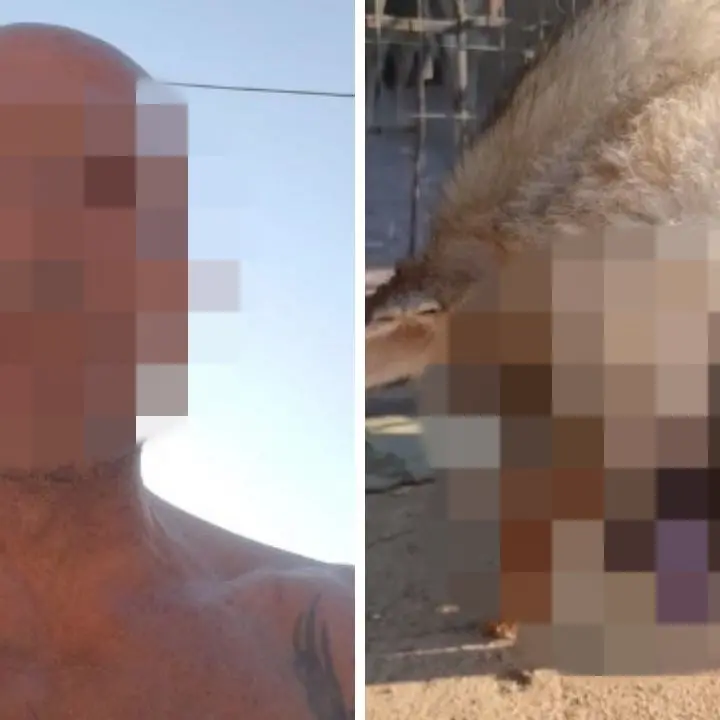 Mostra in un video su Facebook il cane «sacrificato a Satana», shock a Reggio Calabria