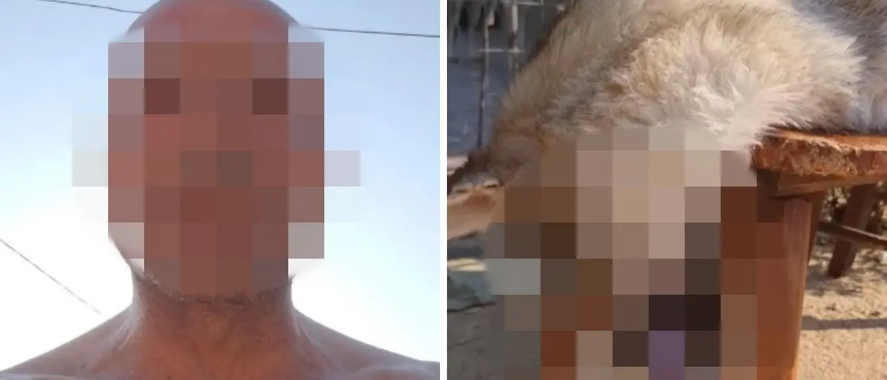 Mostra in un video su Facebook il cane «sacrificato a Satana», shock a Reggio Calabria