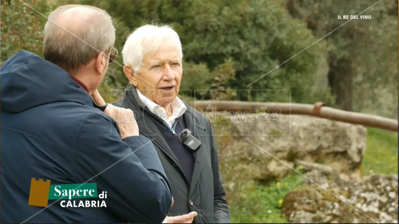 Addio a Nicodemo Librandi, l’ultima intervista di LaC al calabrese che ha conquistato il mondo con il vino Cirò