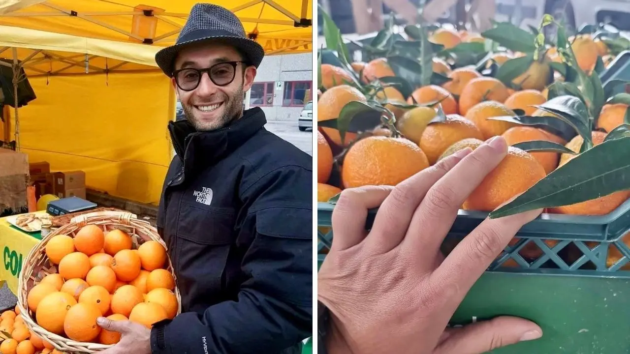 Dal lavoro all’estero al ritorno in Calabria per coltivare clementine: «Un onore guidare l’azienda avviata da nonno»