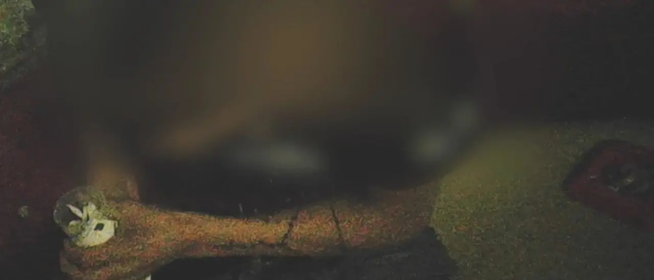 Reggio Calabria come Gomorra, l’ascesa del clan dei rom tra spaccio e stretti legami con la ‘ndrangheta