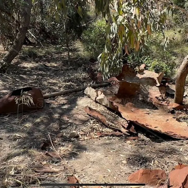 Omicidio nel Cosentino, Carmine Morello ucciso a colpi di arma da fuoco: via alle indagini