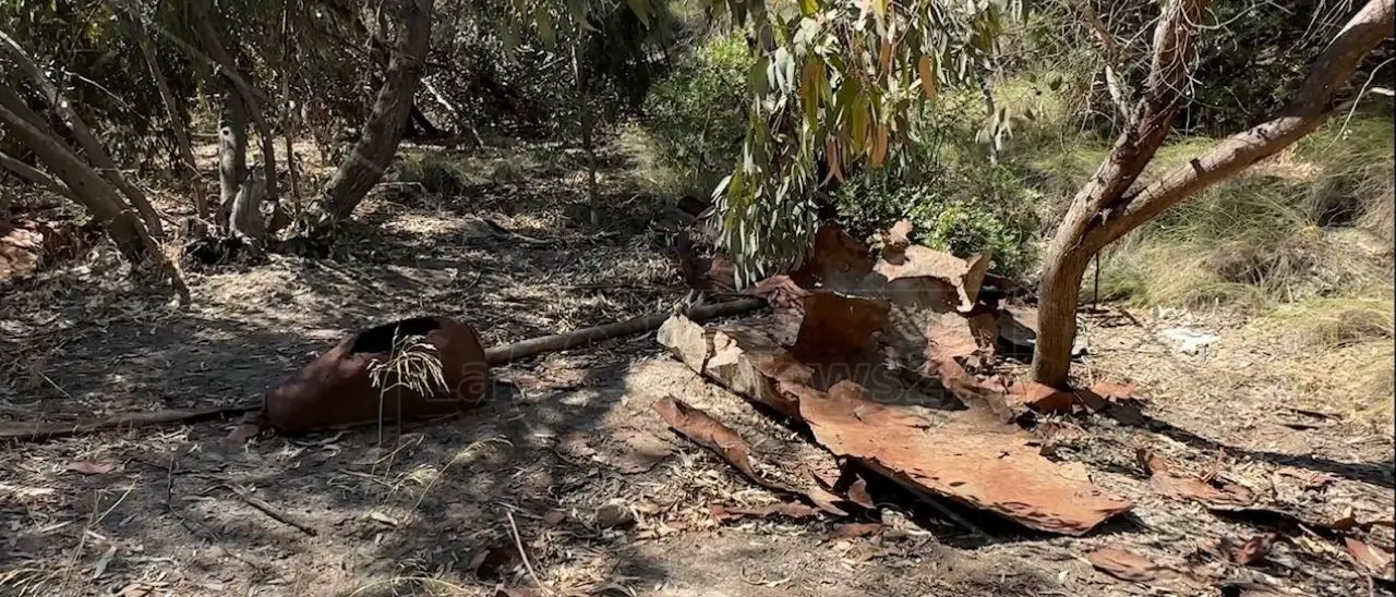 Omicidio nel Cosentino, Carmine Morello ucciso a colpi di arma da fuoco: via alle indagini