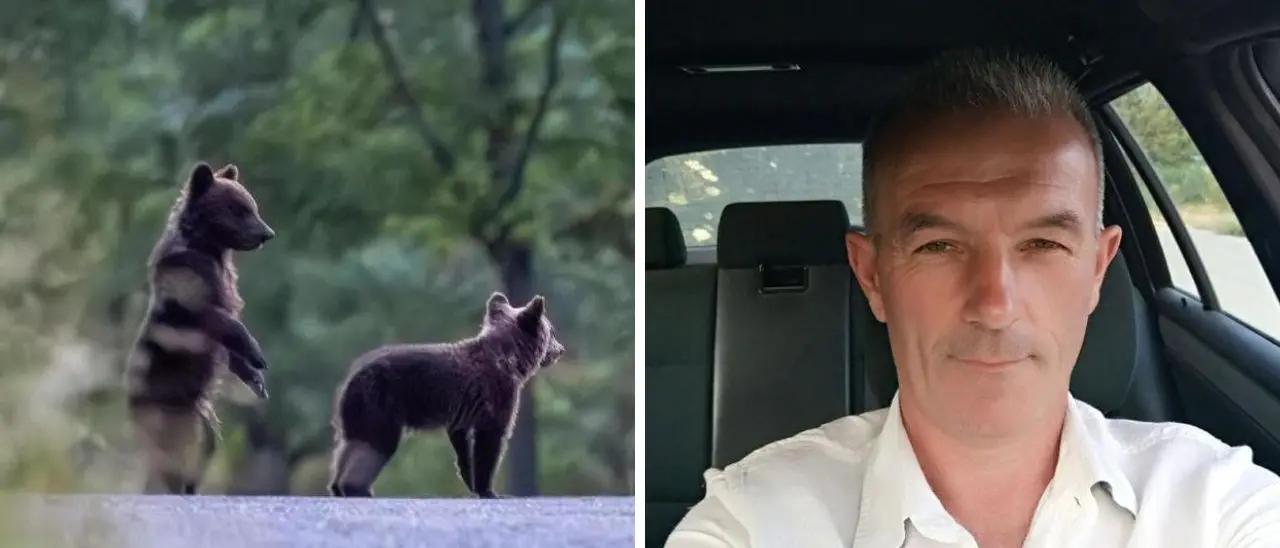 Uccisione dell’orsa Amarena, parla l’uomo che ha sparato: «Minacciato di morte, non vivo più». Individuati i cuccioli