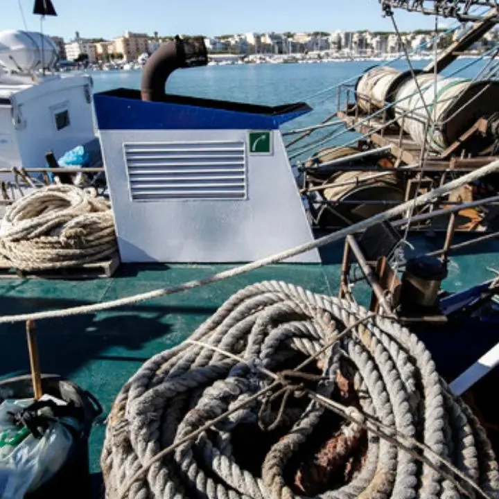 Coldiretti, scatta il fermo pesca dal Tirreno allo Jonio fino al 4 ottobre