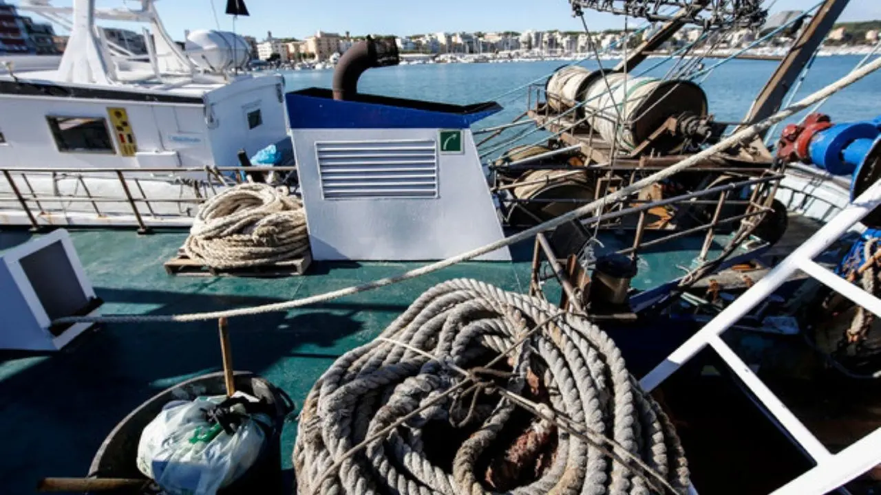 Coldiretti, scatta il fermo pesca dal Tirreno allo Jonio fino al 4 ottobre