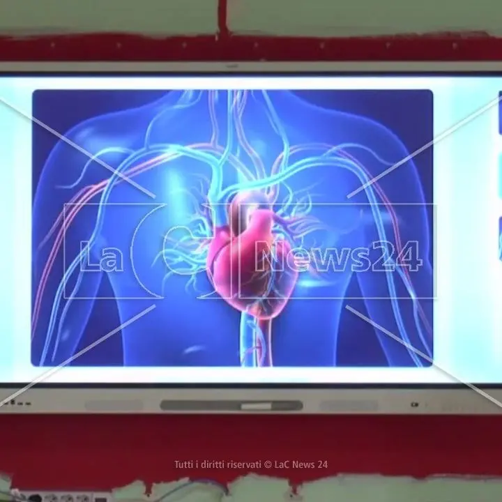 Curvatura biomedica, il percorso partito dalla Calabria verrà attivato in 20 nuove scuole: al via le selezioni