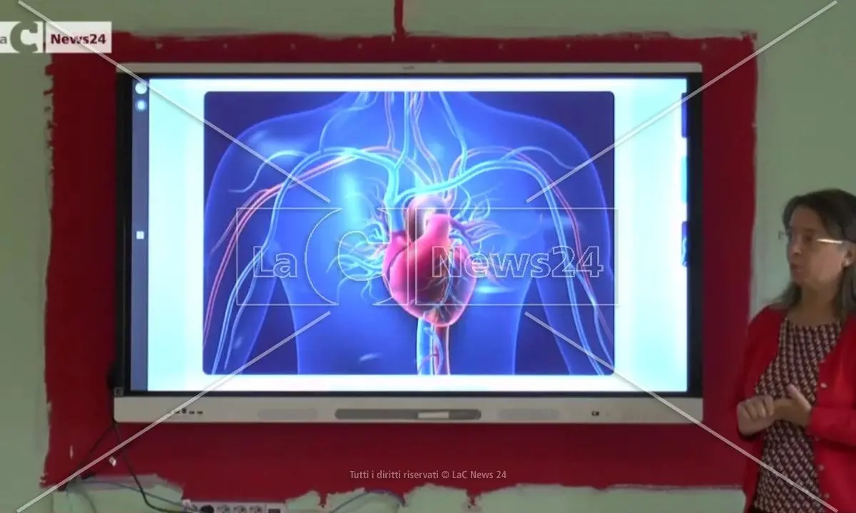 Curvatura biomedica, il percorso partito dalla Calabria verrà attivato in 20 nuove scuole: al via le selezioni