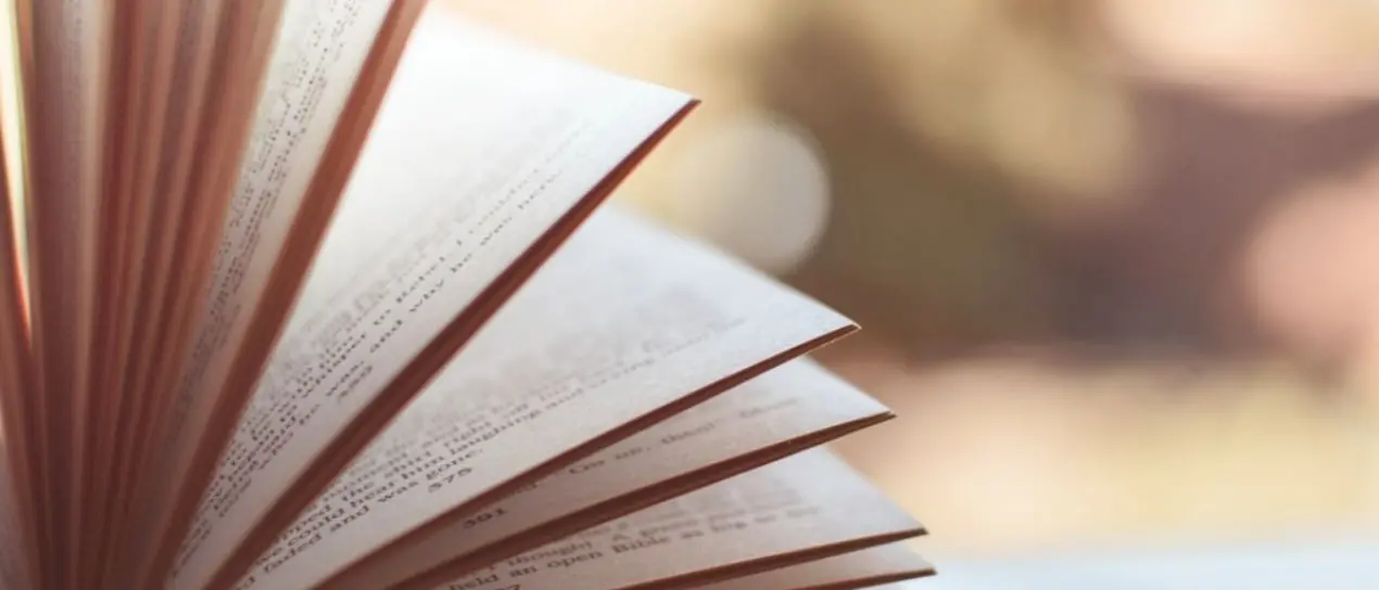 A Cosenza arriva il festival della letteratura indipendente Laudomia: ecco il programma