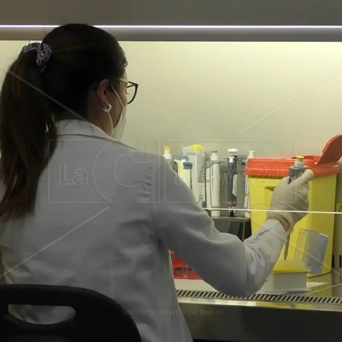 La variante Eris avrebbe una maggiore capacità di infettare i polmoni: lo studio dell’università di Tokyo