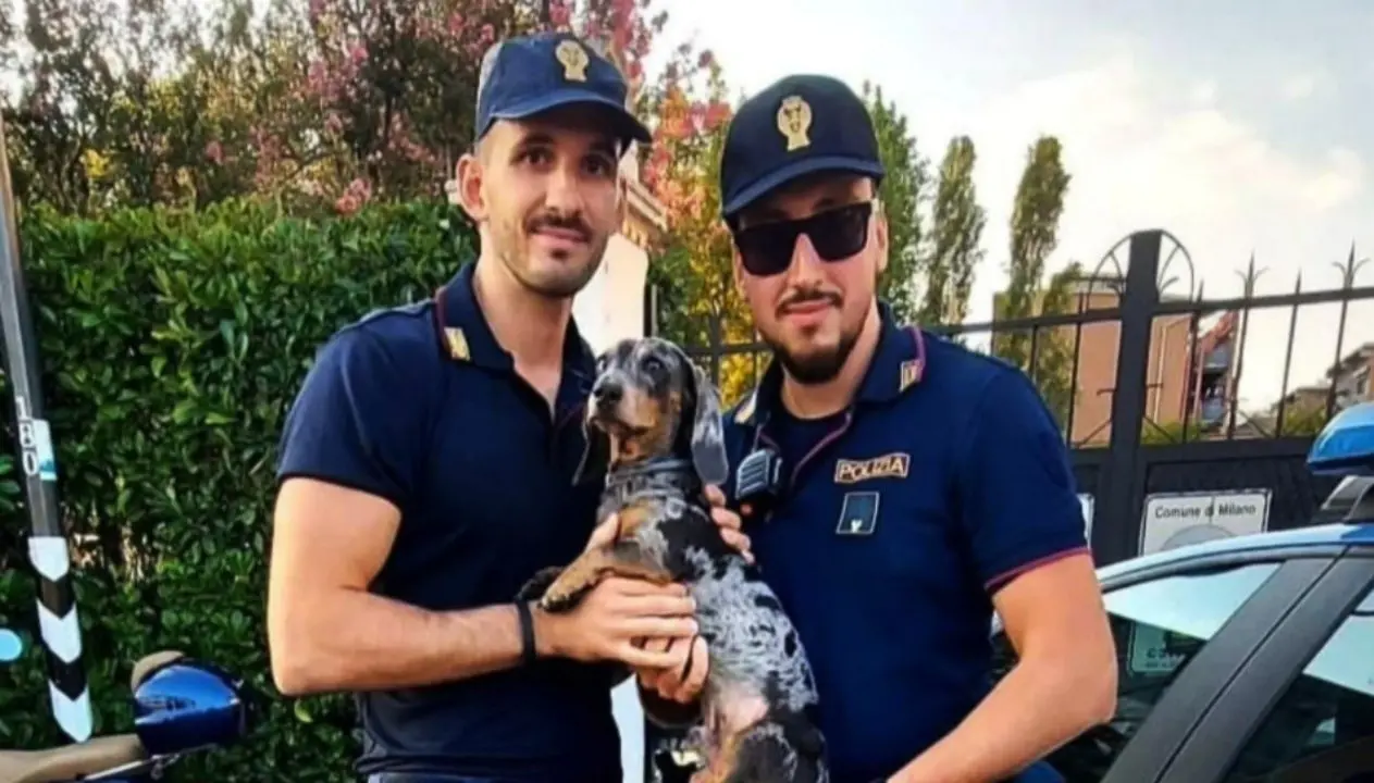 Bassotto rischia di annegare nel Naviglio, poliziotto si tuffa e lo salva. Il cane era scappato ed era stato investito da un’auto