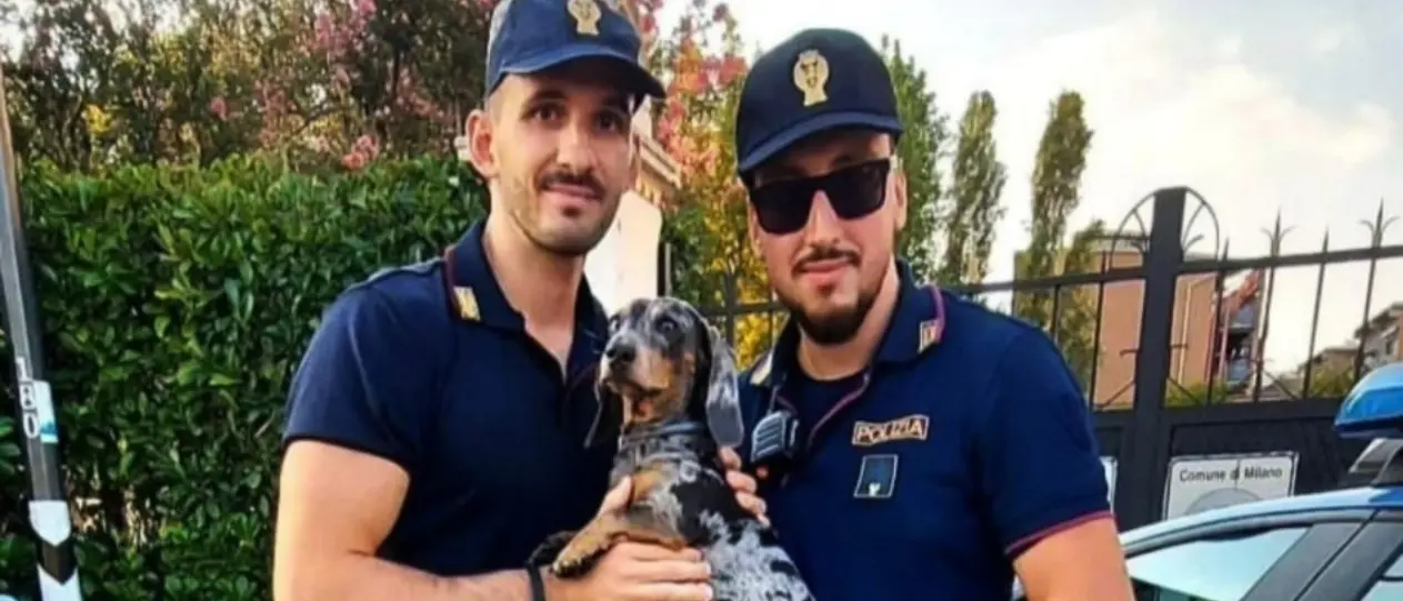 Bassotto rischia di annegare nel Naviglio, poliziotto si tuffa e lo salva. Il cane era scappato ed era stato investito da un’auto