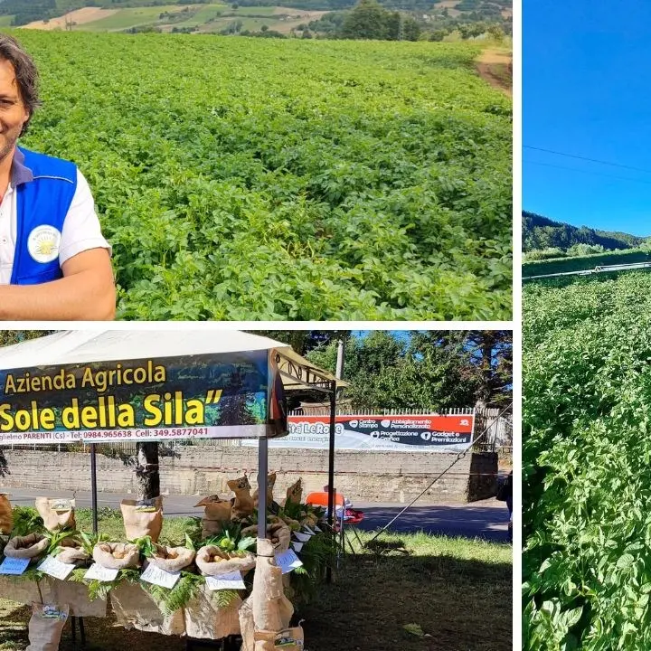 Gianluca, l’agricoltore di Parenti che lotta contro i mali del settore: «Liberiamoci dalle multinazionali che foraggiano governi corrotti»