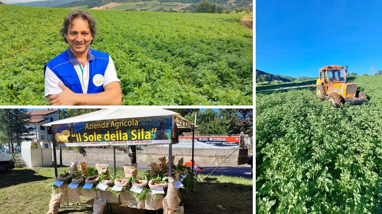 Gianluca, l’agricoltore di Parenti che lotta contro i mali del settore: «Liberiamoci dalle multinazionali che foraggiano governi corrotti»