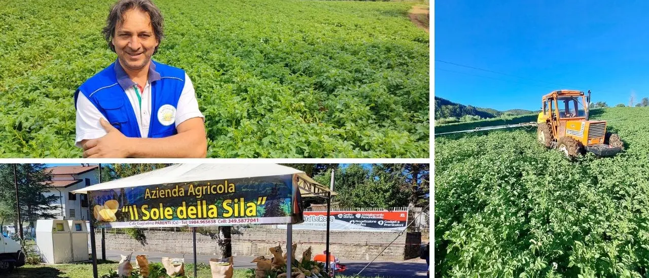 Gianluca, l’agricoltore di Parenti che lotta contro i mali del settore: «Liberiamoci dalle multinazionali che foraggiano governi corrotti»