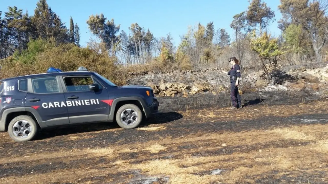 Tenta di appiccare un incendio ma viene colto sul fatto dai carabinieri, 67enne arrestato nel Catanzarese