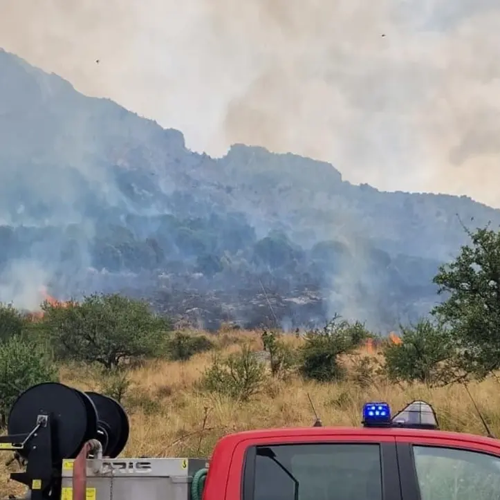 Domato l’incendio sul Pollino, distrutti centinaia di ettari di bosco tra Civita e Frascineto
