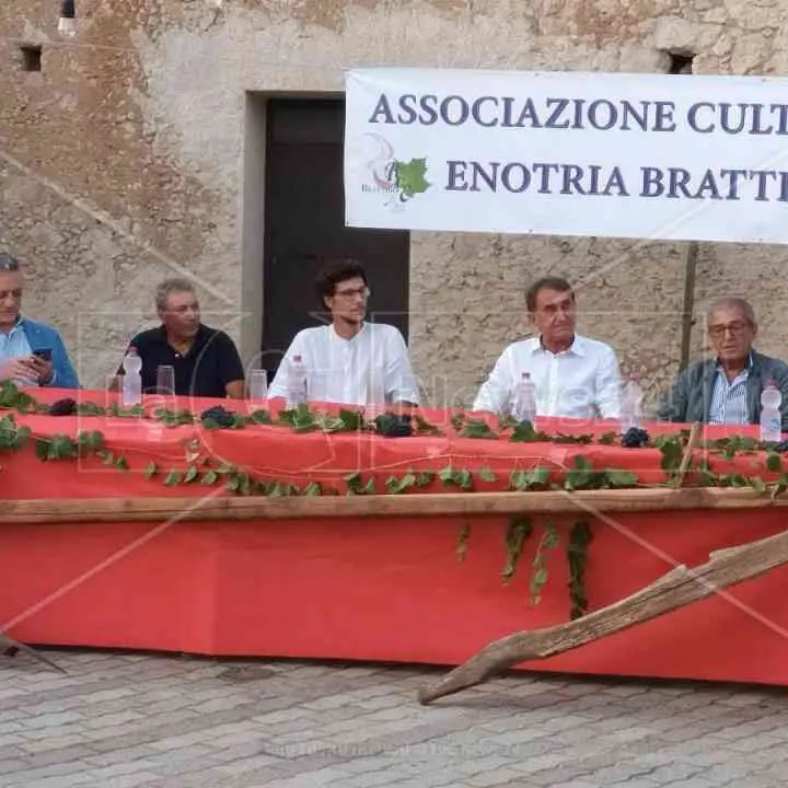 Il vino e Brattirò: storia, tradizione e un’idea di sviluppo per il futuro